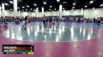 165 lbs Quarterfinals (8 Team) - Aden Greene, Team Fuzzy Bees vs Bluny Davilma, Somerset Academy