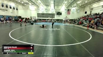 120 lbs Semis (4 Team) - Breckan Palko, Mead vs Gabriel Hall, Thompson Valley