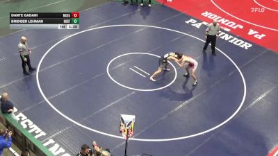 157 lbs Quarterfinal - Dante Gadani, McGuffey vs Bridger Lehman, North Penn-Liberty