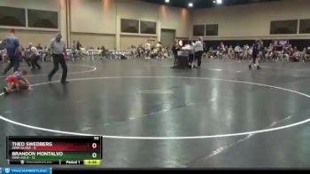 50 lbs Finals (2 Team) - Theo Swedberg, Iowa Silver vs Brandon Montalvo, Iowa Gold