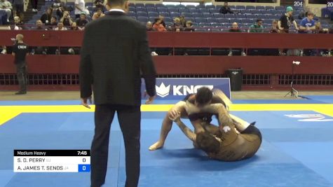 SCOTT D. PERRY vs AUSTIN JAMES T. SENOS 2024 Pan IBJJF Jiu-Jitsu No-Gi Championship