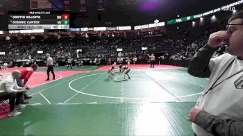 100 lbs Quarterfinal - Dominic Carter, LAC3 vs Griffin Gillispie, EWO3