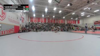 175 lbs Semifinal - Jacob Snodgrass, Palisade vs Connor Heron, Falcon