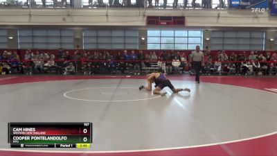 157 lbs Quarterfinal - Cooper Pontelandolfo, NYU vs Cam Hines, Western New England