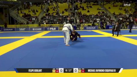 Michael Raymond Esquivias III vs Felipe Goulart 2025 World Jiu-Jitsu IBJJF Championship