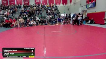 113 lbs Cons. Round 5 - Teagan Young, Palisade vs Jacob Avila, Olathe