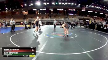 195 lbs Quarterfinal - Brian Burburija, Countryside vs Nate Sopotnick, Jensen Beach