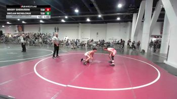 109 lbs Quarterfinal - Brody Gherardini, Team Grand Valley Elite vs Declan Rickelcruz, Team Aggression