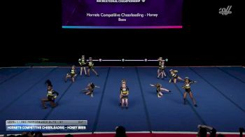 Hornets Competitive Cheerleading - Honey Bees [2026 L1 - Rec Performance Elite - 6Y Day 1] 2026 The Quest