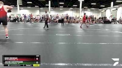 220 lbs Round 1 (4 Team) - Jacob Hachtmann, Flickr Boyz Eagles vs Dom DeMeno, PA Alliance Blue