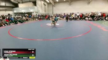 126 lbs Cons. Round 1 - Cole Strong, Thunderridge vs Noah Palomar, Pueblo County