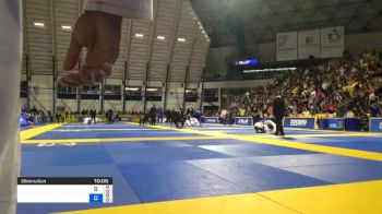 GABRIEL SALLES MUNIZ ALMEIDA vs NISAR AMIN LOYNAB 2019 World Jiu-Jitsu IBJJF Championship
