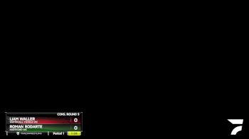 129 lbs Cons. Round 5 - Liam Waller, Whitehall Vikings WC vs Roman Rodarte, Hartford WC