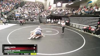 285 lbs Semifinal - Jared Smith, Lone Peak vs Kaydon Williams, Corner Canyon