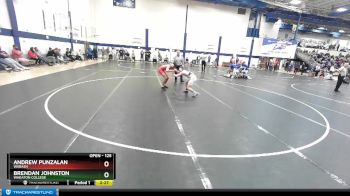 125 lbs Consolation 1st - Andrew Punzalan, Wabash vs Brendan Johnston, Wheaton College