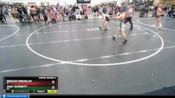 106 lbs Champ. Round 4 - Grey Burnett, OH vs Keegan Dresslar, IN