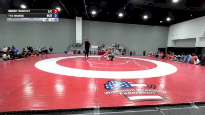 175 lbs Brody Sendele, Illinois Freestyle vs Tre Haines, Washington