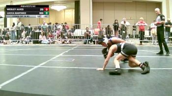 90 lbs Consi Of 16 #2 - Wesley Alves, Spring Hills WC vs Lucca Martinez, Rough House