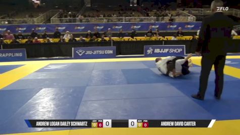 Andrew David Carter vs Andrew Logan Dailey Schwartz 2026 Pan Jiu Jitsu IBJJF Championship