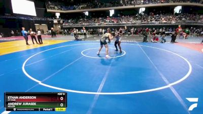 6A 215 lbs Semifinal - Ethan Anderson, Cy-Fair vs Andrew Jurasek, Keller