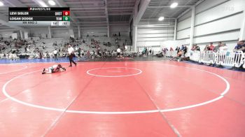 70 lbs Rr Rnd 2 - Levi Sisler, Quest School Of Wrestling ES vs Logan Dodge, Team Michigan