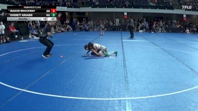 50 lbs Round 1 - Mason Brockway, Summit Wrestling Academy vs Everett Kruger, Waseca