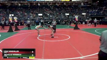 132 lbs Cons. Round 6 - Nicholas Werbrich, TRWA vs Cole Winemiller, GFF2