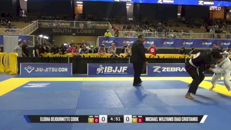 Michael Willyams Dias Cristianis vs Elisha Dejournette Cook 2026 Pan Jiu Jitsu IBJJF Championship