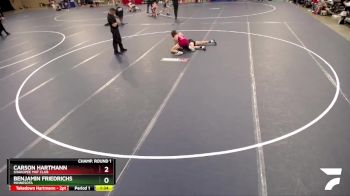 138 lbs Champ. Round 1 - Carson Hartmann, SHAKOPEE MAT CLUB vs Benjamin Friedrichs, Minnesota