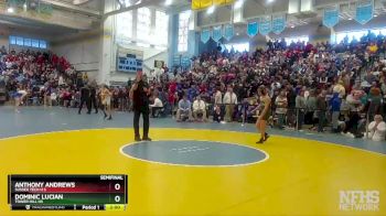 106 lbs Semifinal - Dominic Lucian, Tower Hill Hs vs Anthony Andrews, Sussex Tech H S