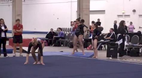 Omega's School of Gymnastics (Chelsie Brown)