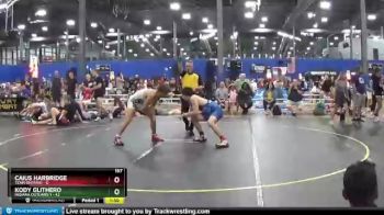 167 lbs Round 5 (6 Team) - Caius Harbridge, Team Ontario vs Kody Glithero, Indiana Outlaws 1