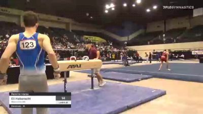 Eli Hoberecht - Pommel Horse, Black Hills WA - 2021 USA Gymnastics Development Program National Championships