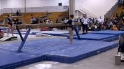 Cincinnati Gymnastics (Lexie Priessman)