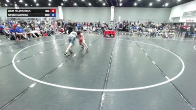 150 lbs Liam Fitzpatrick, Team Michigan Blue vs Gavin Cantera, Ohio Gray