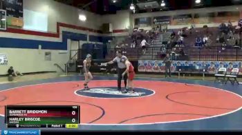 106 lbs Round 5 - Harley Briscoe, Hayden vs Barrett Bridgmon, Homewood HS
