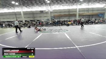 66 lbs Cons. Round 3 - Audrey Andrade, Bulldog Wrestling Club vs Ricky Suzuki, Mountain Man Wrestling Club