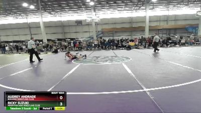 66 lbs Cons. Round 3 - Audrey Andrade, Bulldog Wrestling Club vs Ricky Suzuki, Mountain Man Wrestling Club