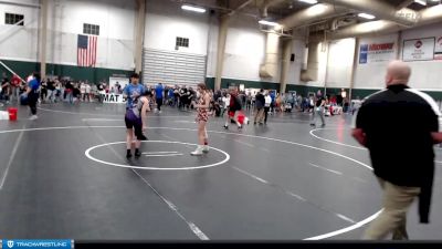 91-97 lbs Round 5 - Adreonna Nichols, Fillmore Central vs Capri Sayer, CAMBRIDGE