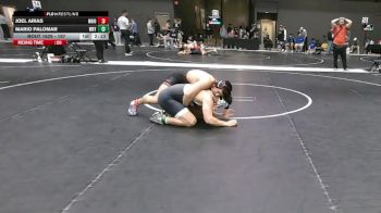 197 lbs Cons. Round 6 - Mario Palomar, Wayland Baptist (Texas) vs Joel Arias, Northwestern (Iowa)
