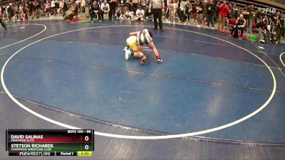 86 lbs Cons. Round 1 - David Salinas, Montrose Elite vs Stetson Richards, Champions Wrestling Club