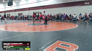 125 lbs Cons. Round 3 - Dayzia Clark, Center Grove vs Shayline Calderon-Hernandez, Southridge