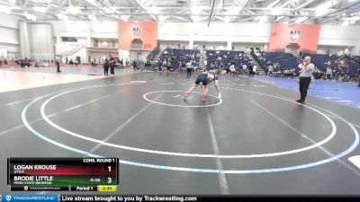 165 lbs Cons. Round 1 - Brodie Little, Penn State Behrend vs Logan Krouse, Utica