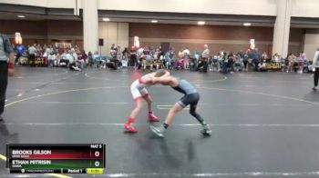 65 lbs Semifinal - Ethan Mitrisin, SHWA vs Brooks Gilson, Ohio Gold