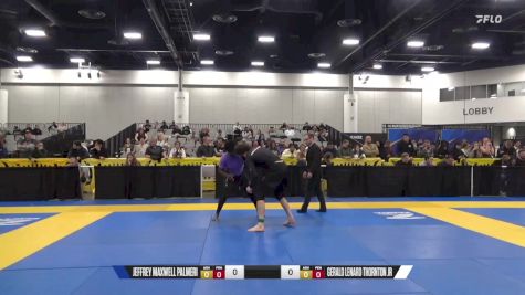 Gerald Lenard Thornton Jr vs Jeffrey Maxwell Palmeri 2024 World IBJJF Jiu-Jitsu No-Gi Championship