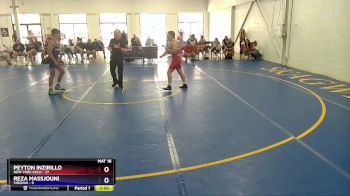 125 lbs Placement Matches (16 Team) - Peyton Inzirillo, New York Gold vs Reza Massjouni, Virginia