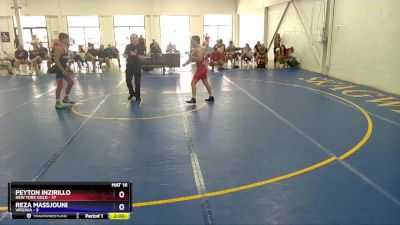 125 lbs Placement Matches (16 Team) - Peyton Inzirillo, New York Gold vs Reza Massjouni, Virginia
