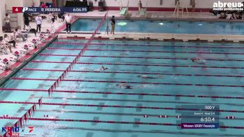 Replay: NE10 Swimming & Diving Champ | Feb 13 @ 6 PM