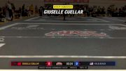 Brian Miller vs Michel Alsoury 2024 ADCC Austin Open