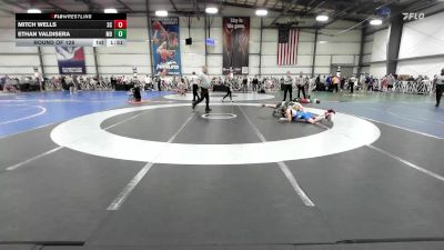 113 lbs Round Of 128 - Mitch Wells, SC vs Ethan Valdisera, MD